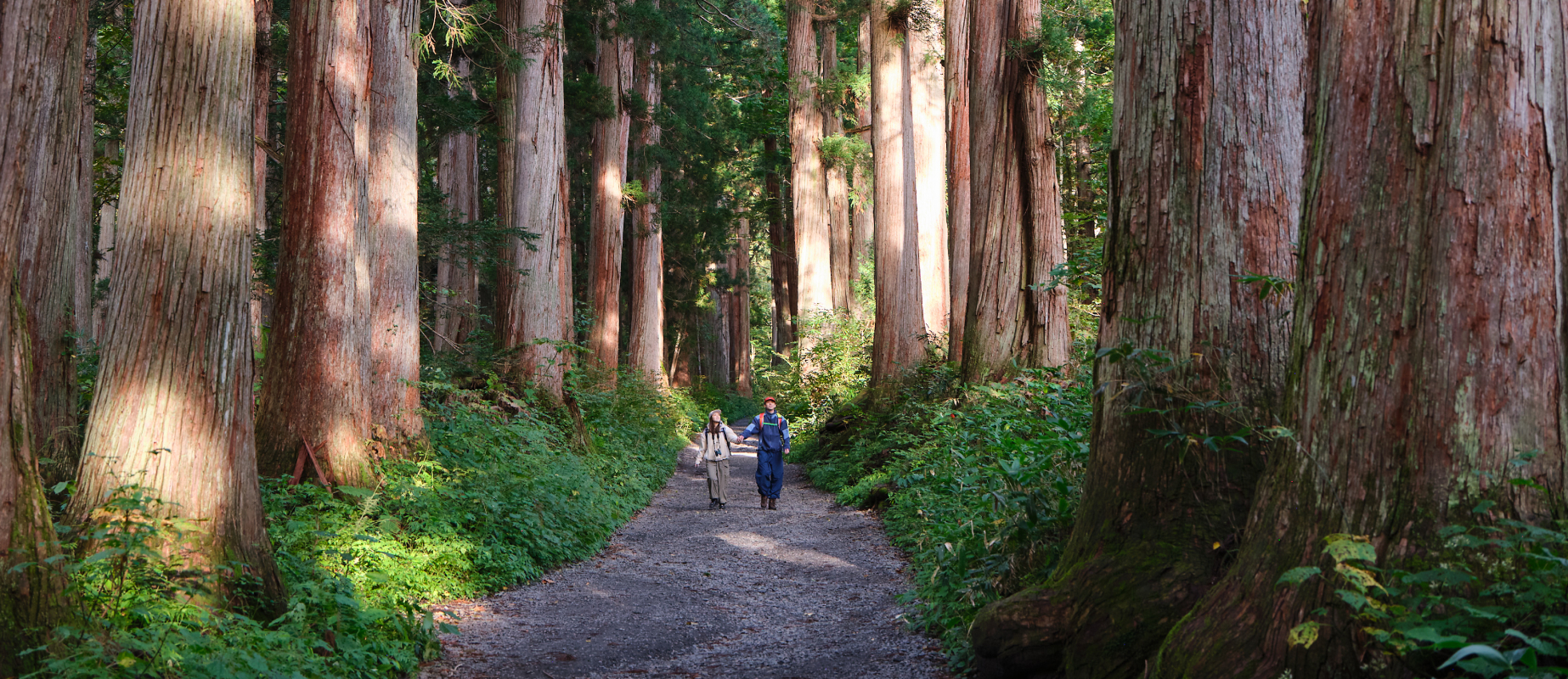 わたしたちについて